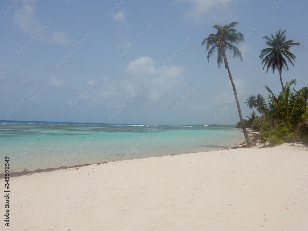 Une plage de sable blanc avec un palmier devant la mer turquoise et sous le ciel bleu sans nuage