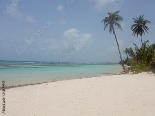 Fototapeta Naklejka Na Ścianę i Meble -  Une plage de sable blanc avec un palmier devant la mer turquoise et sous le ciel bleu sans nuage