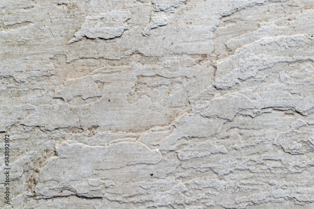 Close up of a textured garden paving slab. Close up of a textured garden paving slab.