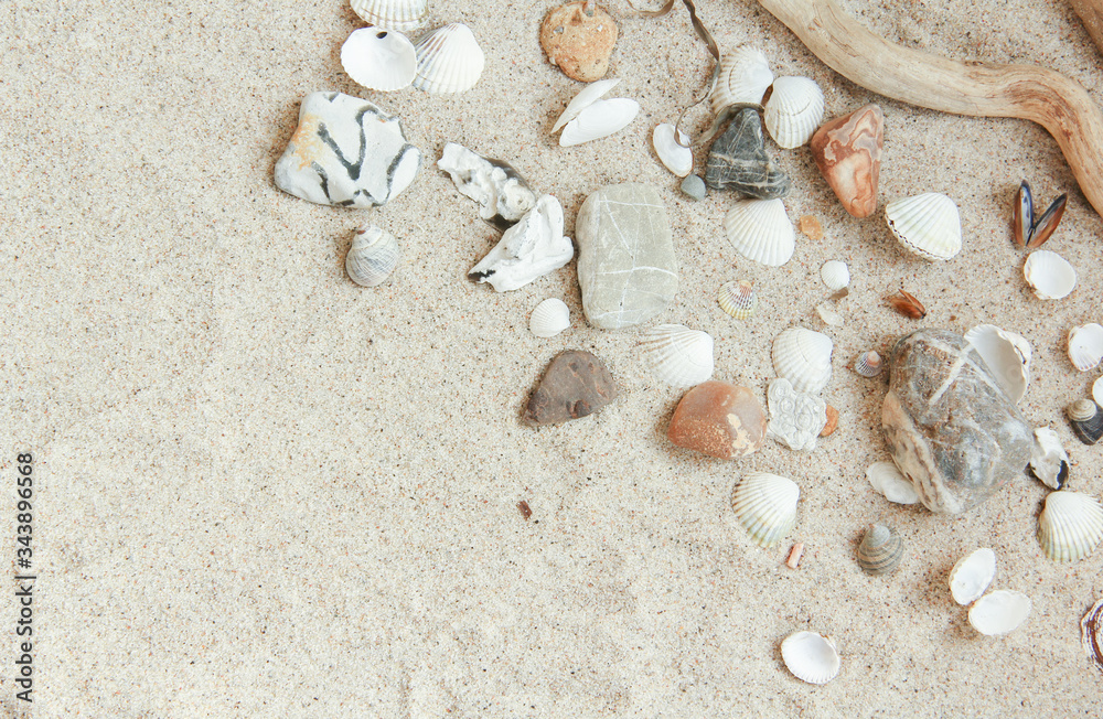 Strand Sand Steine Muscheln Hintergrund Muschel Strandgut Treibholz Freiraum Strand Sand Steine Muscheln Hintergrund Muschel Strandgut Treibholz Freiraum