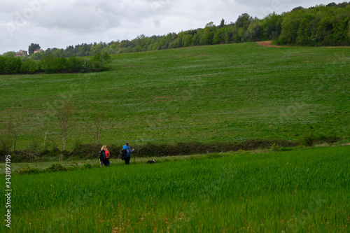 Pilgrims walking on the path trough hills and green. Solo Backpacker Trekking on the Via Francigena from Lucca to Siena. Walking between nature, history, churches,