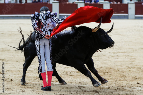 Bullfight in Spain photo