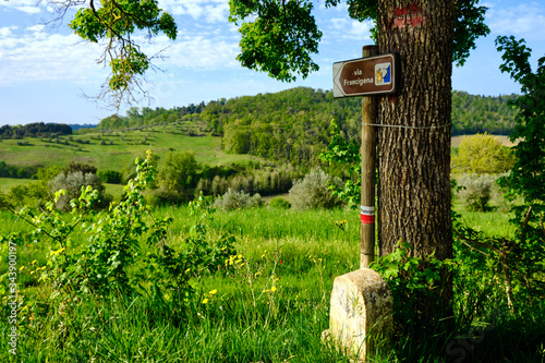 A sign under a tree, in the middle of the green hills, shows the way. Solo Backpacker Trekking on the Via Francigena from Lucca to Siena. Walking between nature, history, churches,