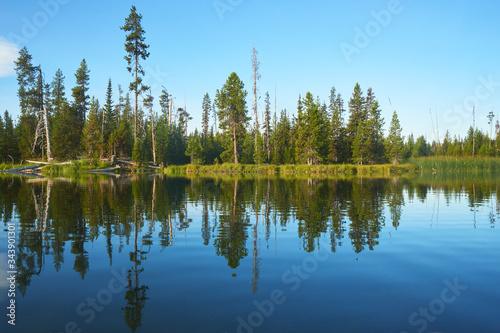 Morning view of the shore of a Hosmer Lake in Central Oregon.