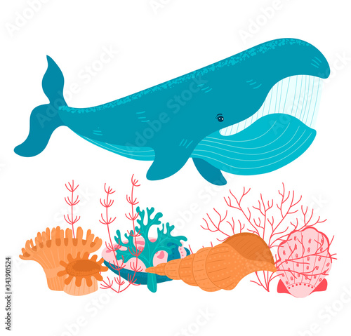 Cartoon big whale and marine shell on the ocean bottom isolated on white, vector, illustration. Large sea world dweller with small seashell and algae, undersea fauna of tropics. Wildlife in underwater