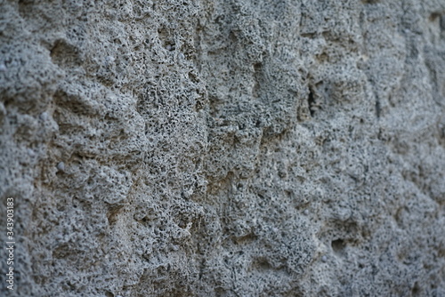 Textured close-up of volcanic rock
