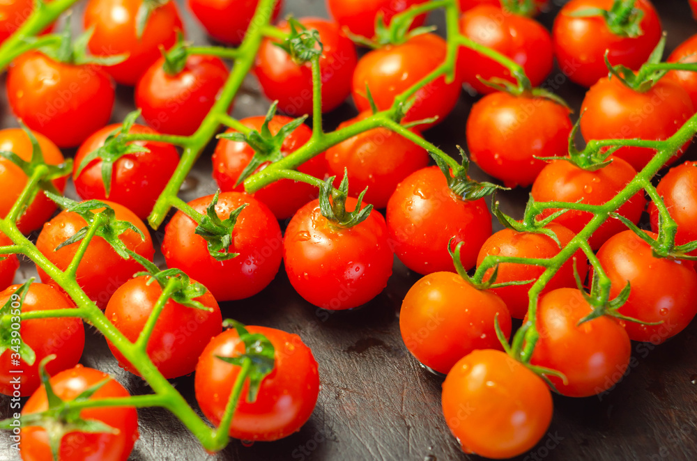 Covered with drops of water, fresh tomatoes with sprigs on wood Covered with drops of water, fresh tomatoes with sprigs on wood