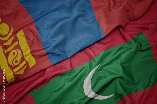 waving colorful flag of maldives and national flag of mongolia.