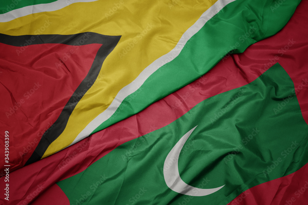 waving colorful flag of maldives and national flag of guyana.