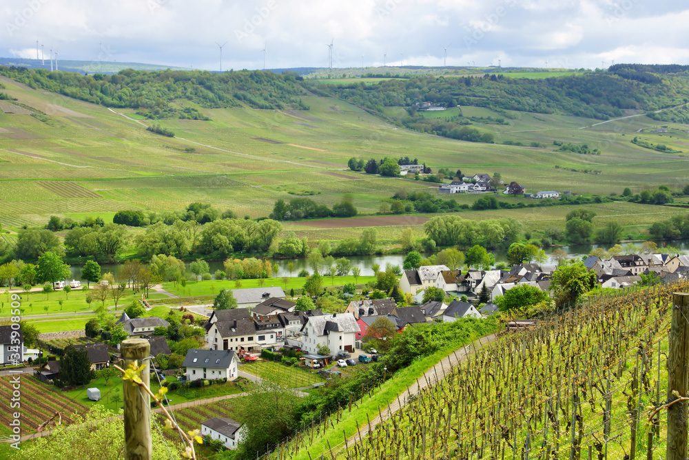 Weinort Kesten an der Mosel im Frühling
