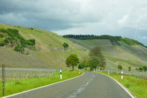 Bundesstrasse B 53 bei Kesten an der Mosel im Frühling
 photo