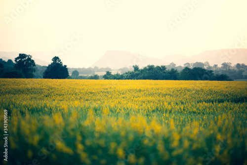 sunset over the tropical mountains, nature landscape scene