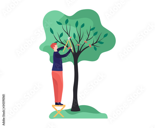 Man ennoble green, tall tree, cutting leave concept and vector illustration on white background. Shrub care, gardener work in forest, park. Pruning trees with male characters. Flat style.
