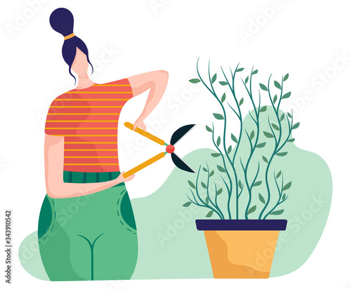 Cutting bush in kitchen and room concept and vector illustration on white background. Housewife work on shrub, remove excess leave. Farmer pruning crop, female characters. Flat style.