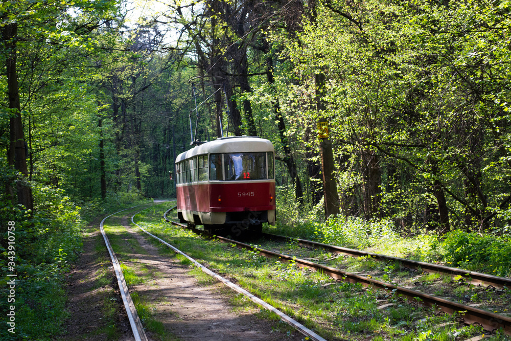 Old red tram in the forest. In the spring