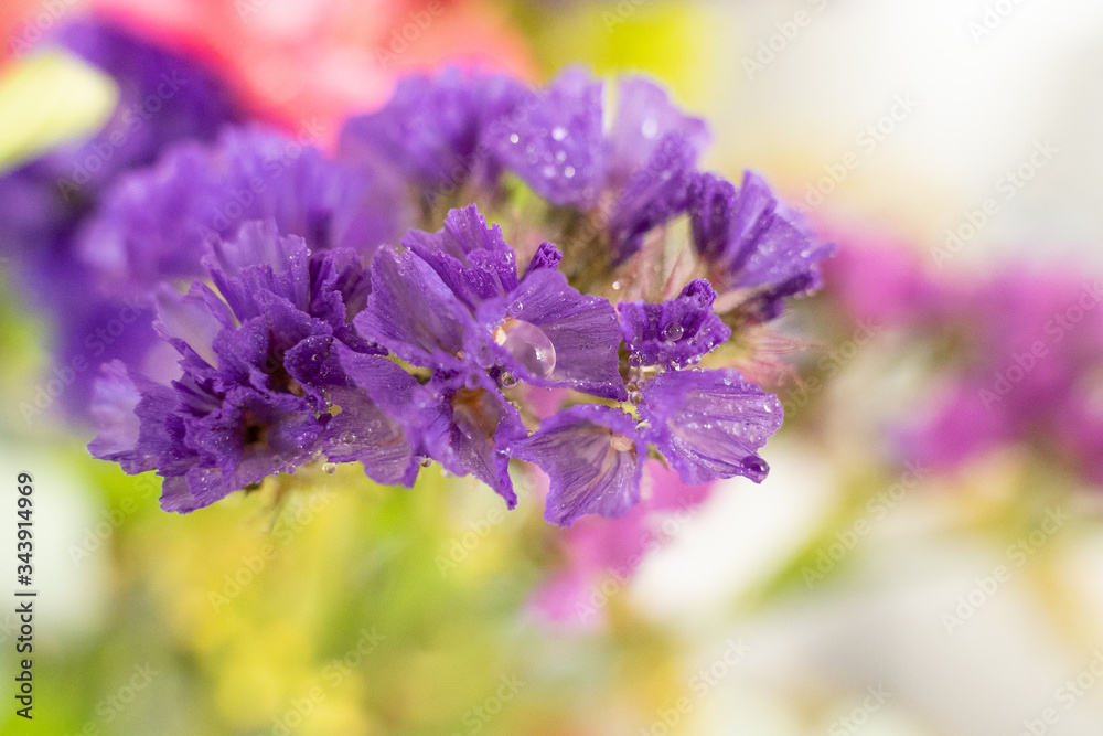 Obraz premium flores moradas en un ramo variado