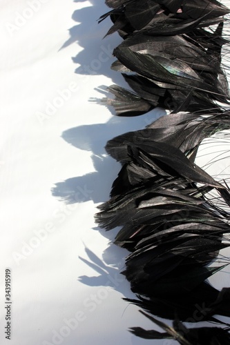 Frame of black feathers on a white background. Emo style frame made of boa (feather scarf) isolated on white. exotic soft beautiful black feather
