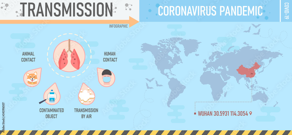 Coronavirus pandemic transmission infographic. Novel Coronavirus (2019-ncov) flat design infographic. COVID-19 outbreak. Vector illustration