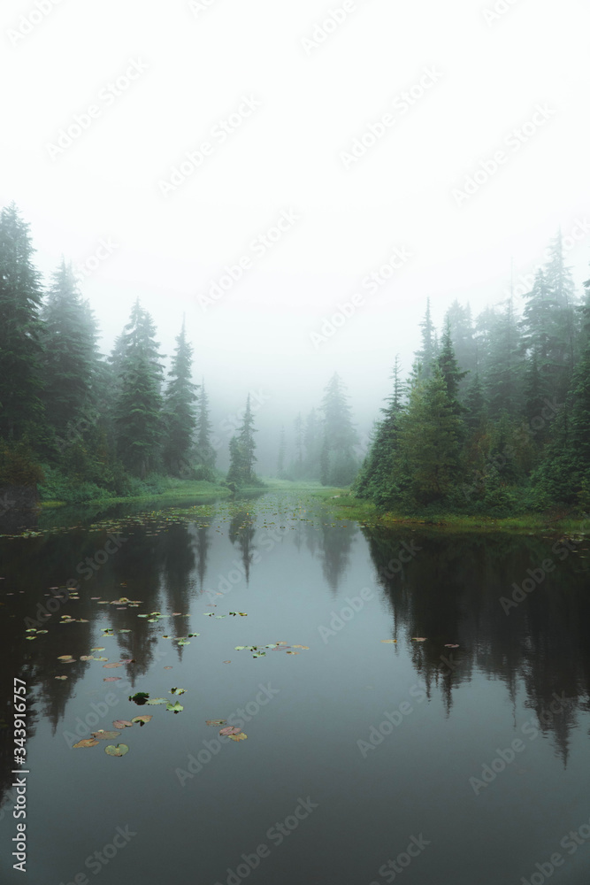 Foggy morning on the lake Foggy morning on the lake