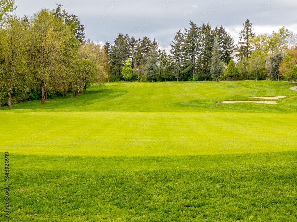 Golf course with gorgeous green and fantastic forest view.