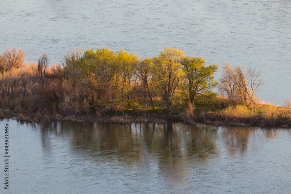 island of trees on snake river