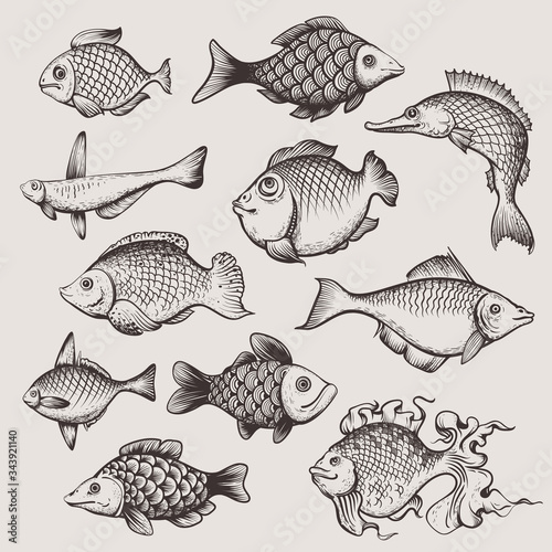 Hand Dawn Creative Fantastic Fishes in a Grunge Style Vector Set