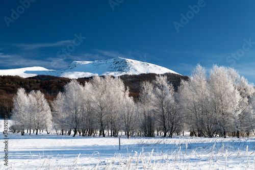 Fototapeta Naklejka Na Ścianę i Meble -  Frosty winter morning in the mountains. View of Tarnica - the highest peak of the Bieszczady Mountains in Poland (1,346 m a.s.l.). Bieszczady National Park, Subcarpathian Voivodeship.