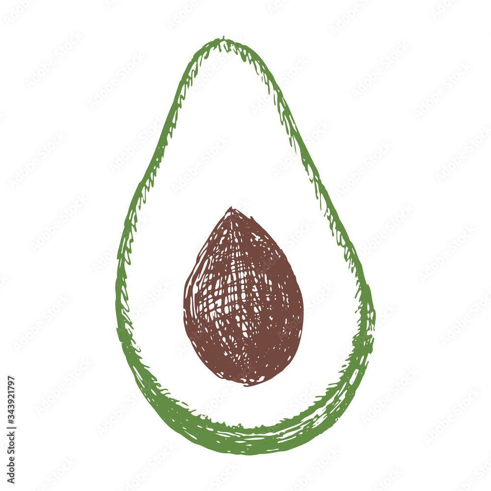 Single element, avocado, hand-draw doodle illustration in vector. Food ...