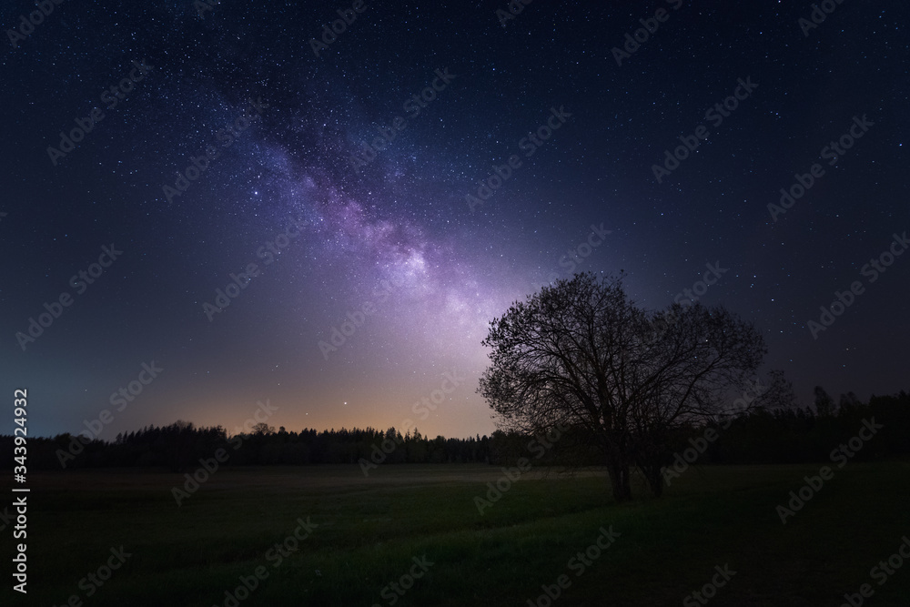 Silhouette of Trees On Field Against Night Sky and the Milky way / Galactic core