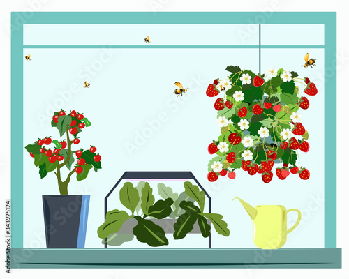 Home garden or farm and mini greenhouse