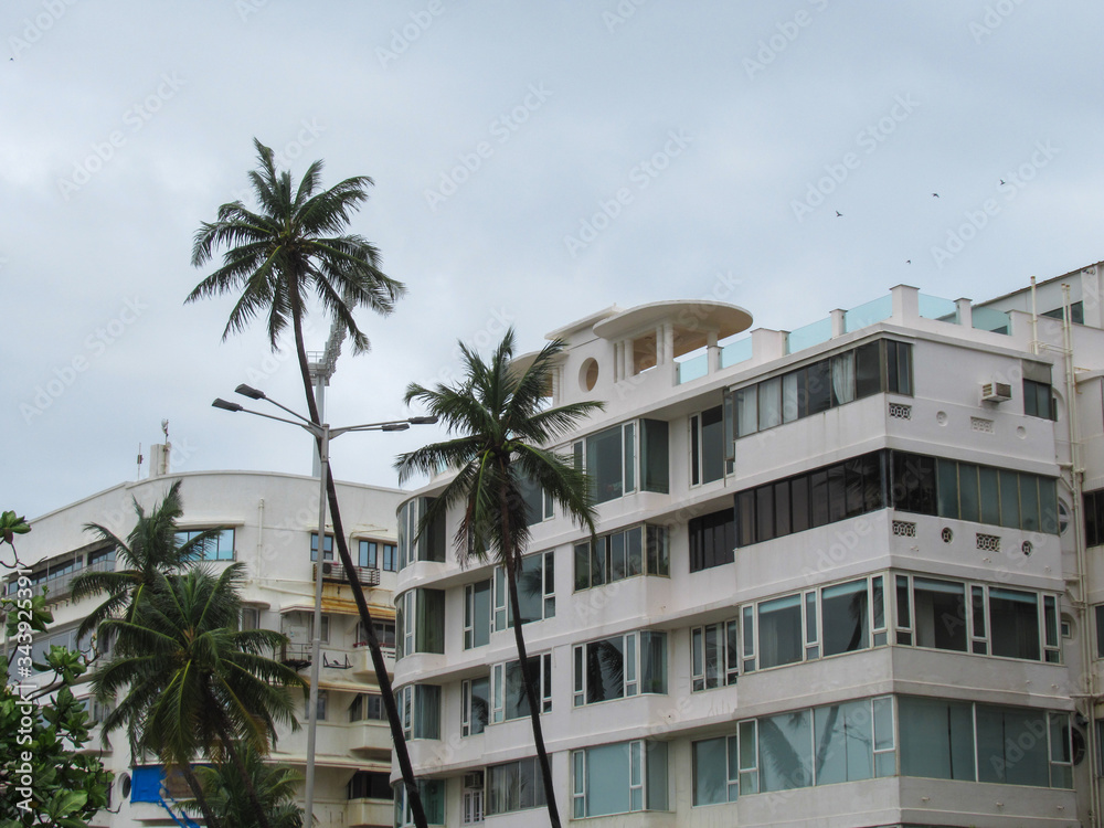 Fototapeta premium House with palms