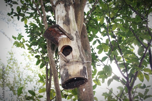 A bird house made of bamboo