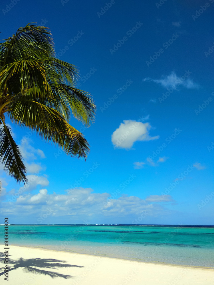 Beautiful white sand beach with palm trees, turquoise ocean water and blue sky with clouds in sunny day