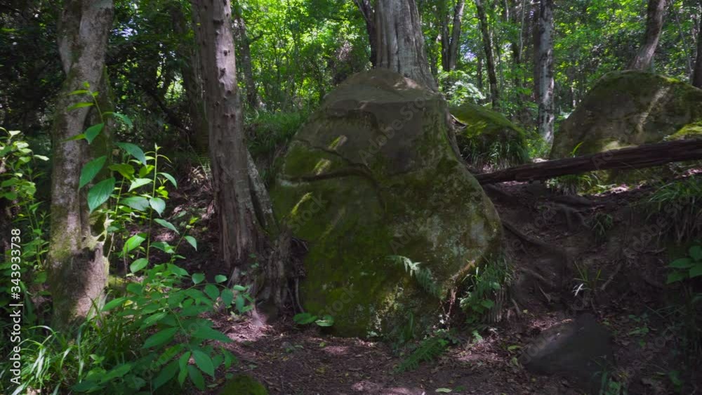Huge stones covered with moss in a subtropical forest Huge stones covered with moss in a subtropical forest