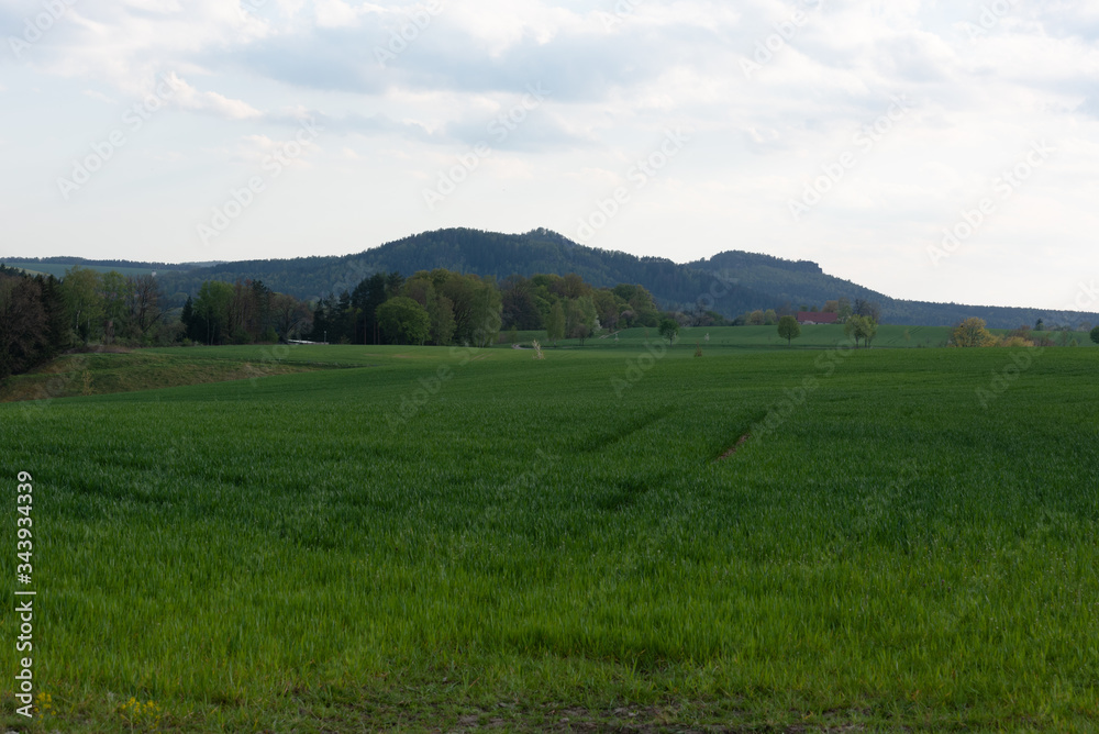Sächsische Schweiz, Rapsfelder, Roadtrip. Sächsische Schweiz, Rapsfelder, Roadtrip.