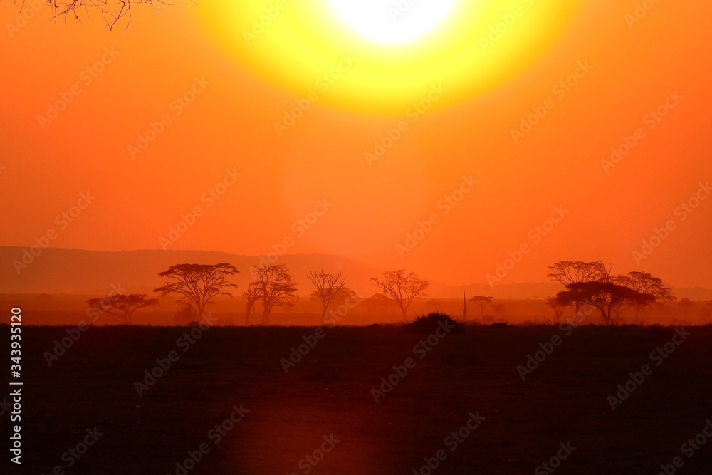 wunderschöner Sonnenuntergan im Serengeti Nationalpark in Tanzania