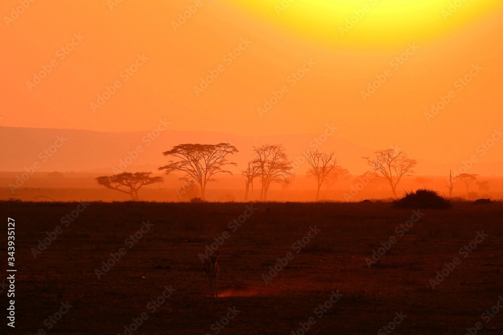 Sonnenuntergang im Serengeti Nationalpark in Tanzania
