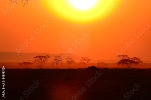 wunderschöner Sonnenuntergan im Serengeti Nationalpark in Tanzania