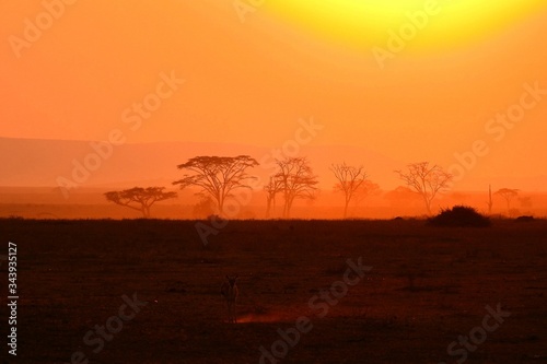Sonnenuntergang im Serengeti Nationalpark in Tanzania