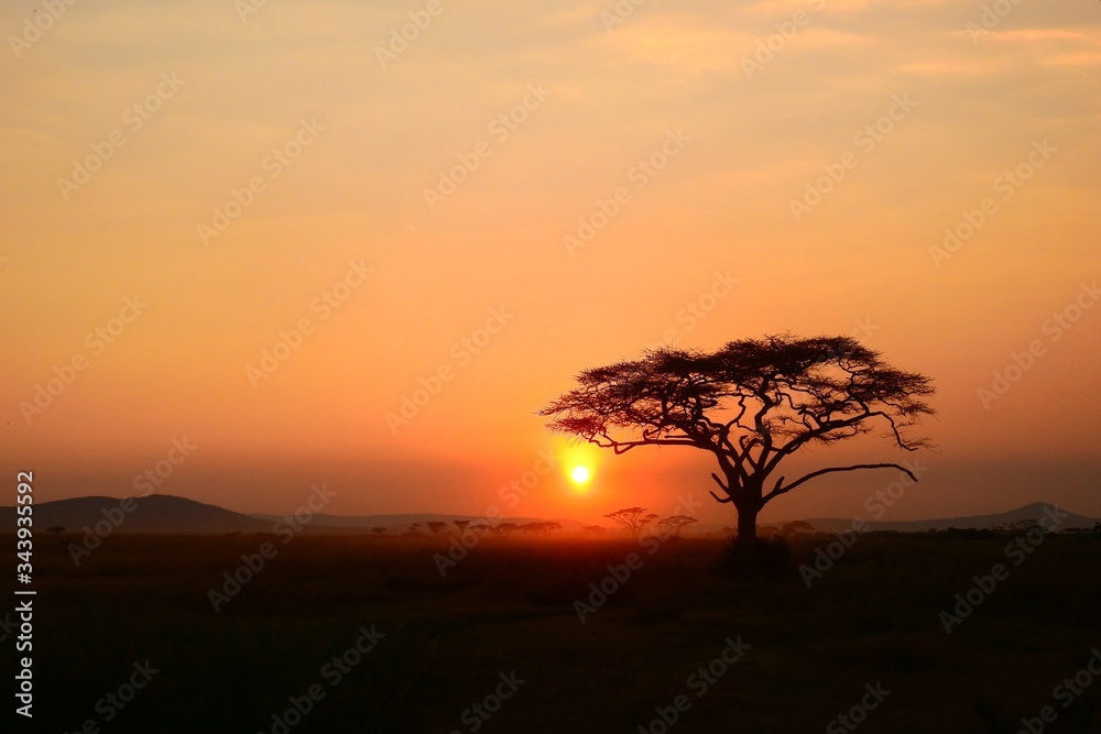 Sonnenuntergang im Serengeti Nationalpark in Tanzania Sonnenuntergang im Serengeti Nationalpark in Tanzania