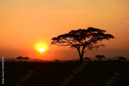 wunderschöner Sonnenuntergan im Serengeti Nationalpark in Tanzania