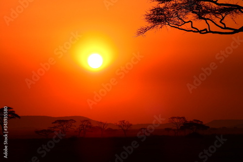 wundersch  ner Sonnenuntergan im Serengeti Nationalpark in Tanzania