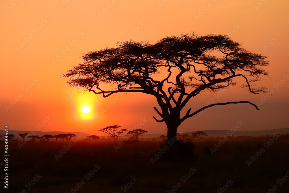 wunderschöner Sonnenuntergan im Serengeti Nationalpark in Tanzania