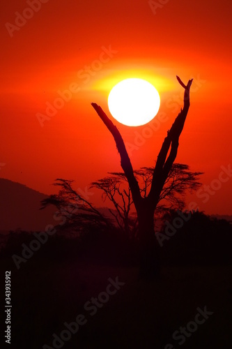 Sonnenuntergang im Serengeti Nationalpark in Tanzania