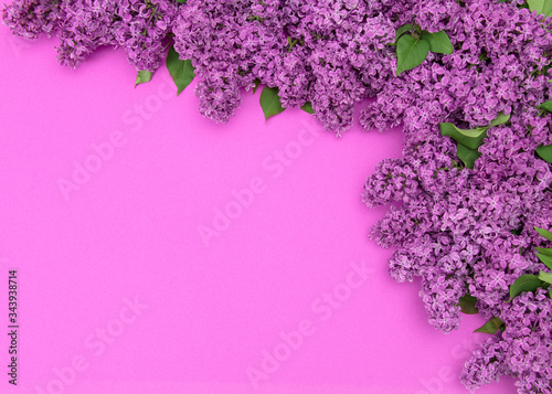 Lilac flowers green leaves Floral border