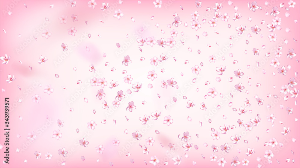 Nice Sakura Blossom Isolated Vector. Beautiful Falling 3d Petals Wedding Border. Japanese Blurred Flowers Wallpaper. Valentine, Mother's Day Summer Nice Sakura Blossom Isolated on Rose