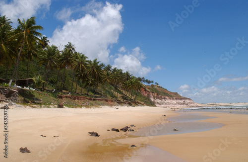 Fototapeta Naklejka Na Ścianę i Meble -  Chalk beach, Tibau do Sul, near Natal, Rio Grande do Norte, Brazil on October 15, 2013