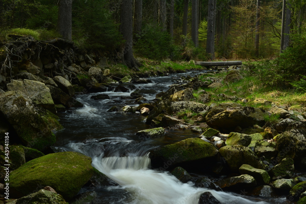 Schwarzwassertal im Erzgebirge