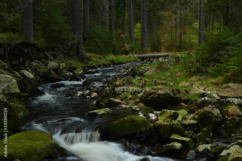 Schwarzwassertal im Erzgebirge