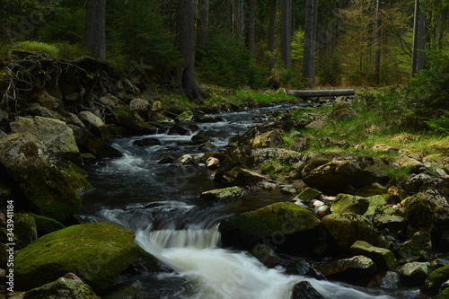 Fototapeta Naklejka Na Ścianę i Meble -  Schwarzwassertal im Erzgebirge